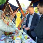 nasice06