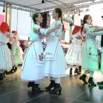 nasice11